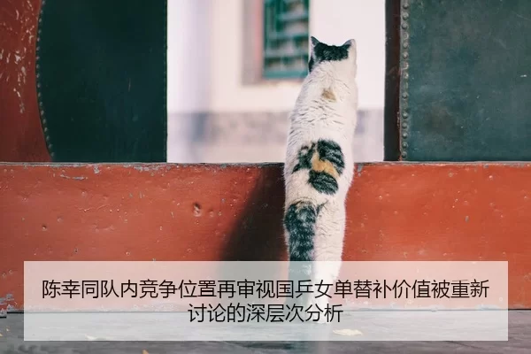 陈幸同队内竞争位置再审视国乒女单替补价值被重新讨论的深层次分析