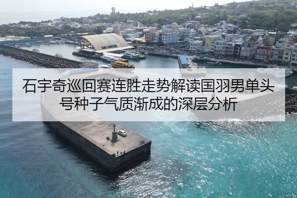 石宇奇巡回赛连胜走势解读国羽男单头号种子气质渐成的深层分析