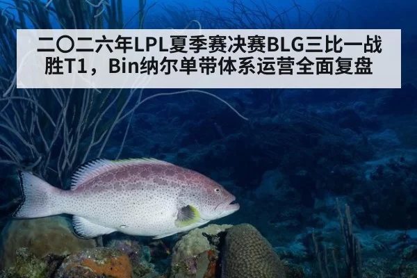 二〇二六年LPL夏季赛决赛BLG三比一战胜T1，Bin纳尔单带体系运营全面复盘